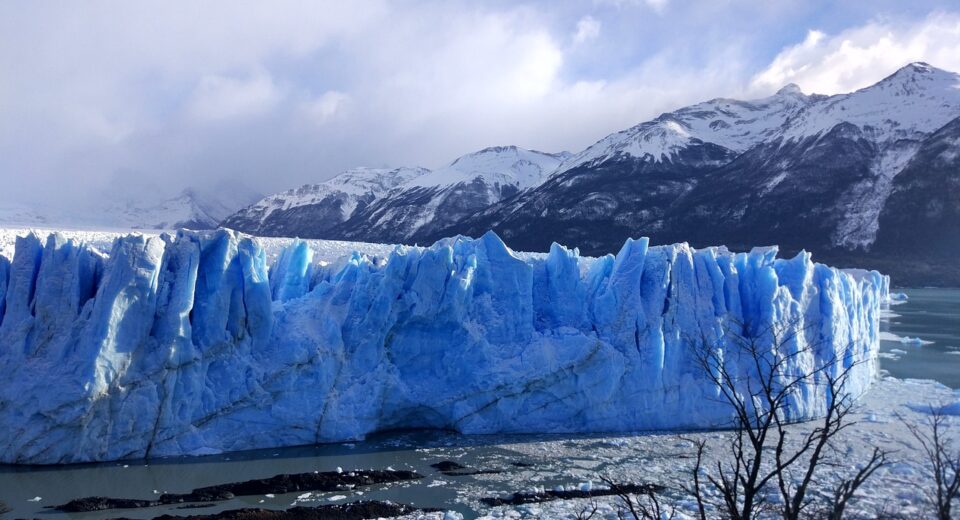 ártico artic