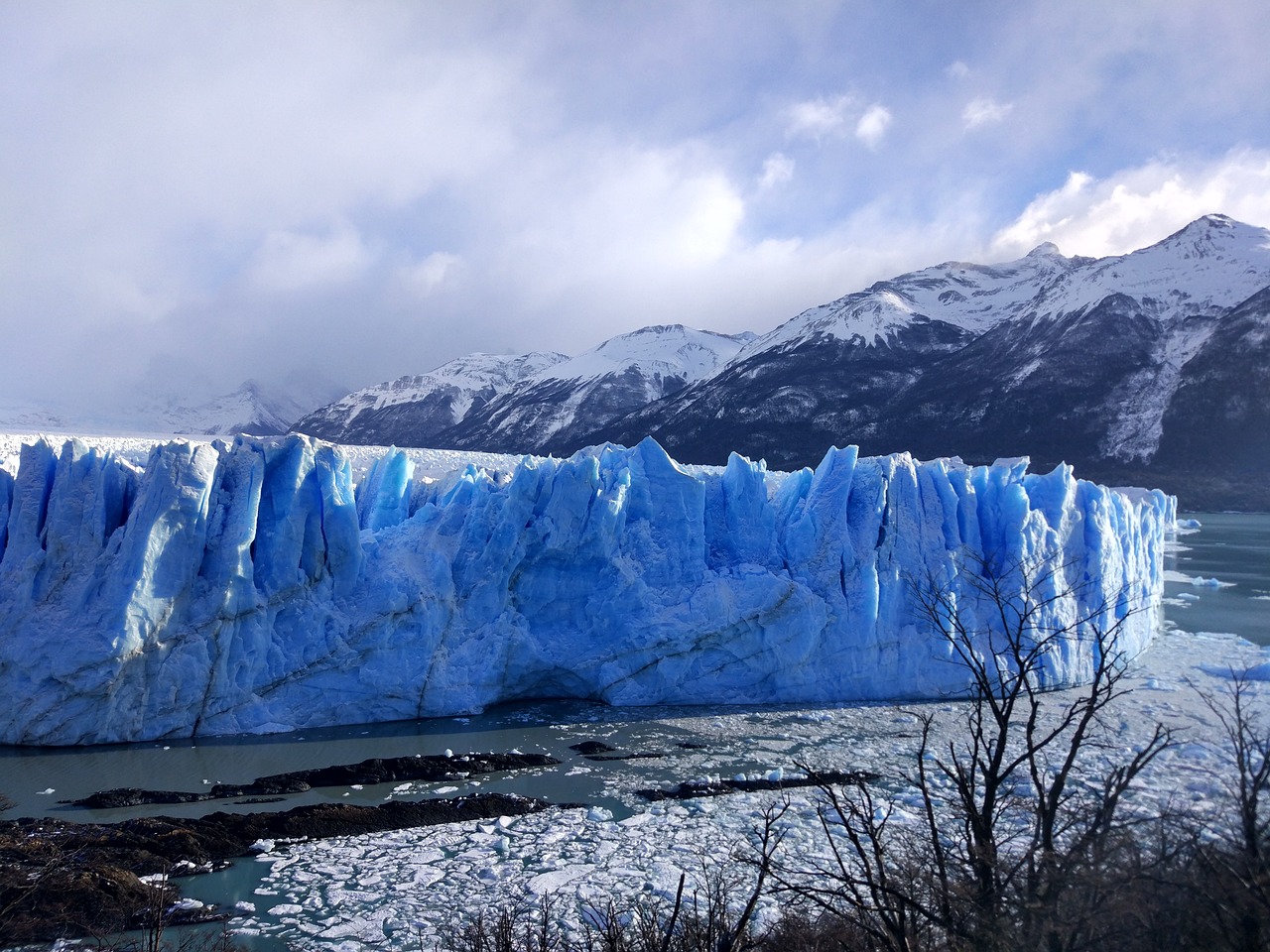 ártico artic