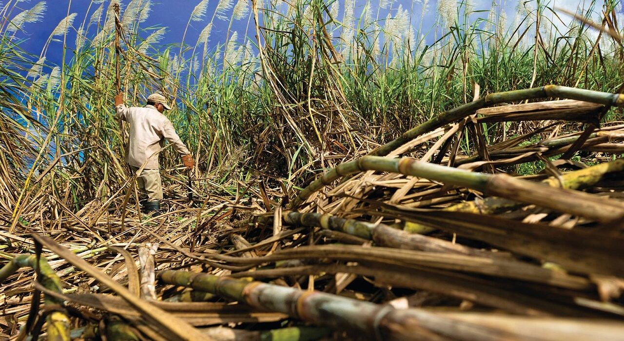 Peru biochar sullana