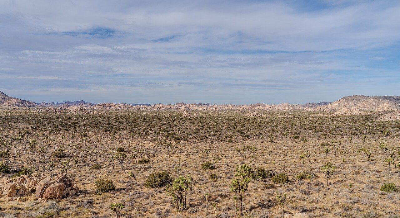 Nuevo Mexico Petroleo Sequia