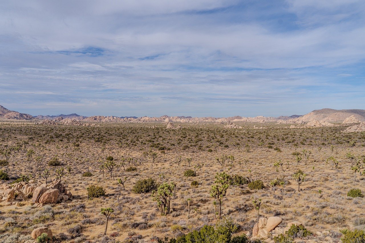 Nuevo Mexico Petroleo Sequia